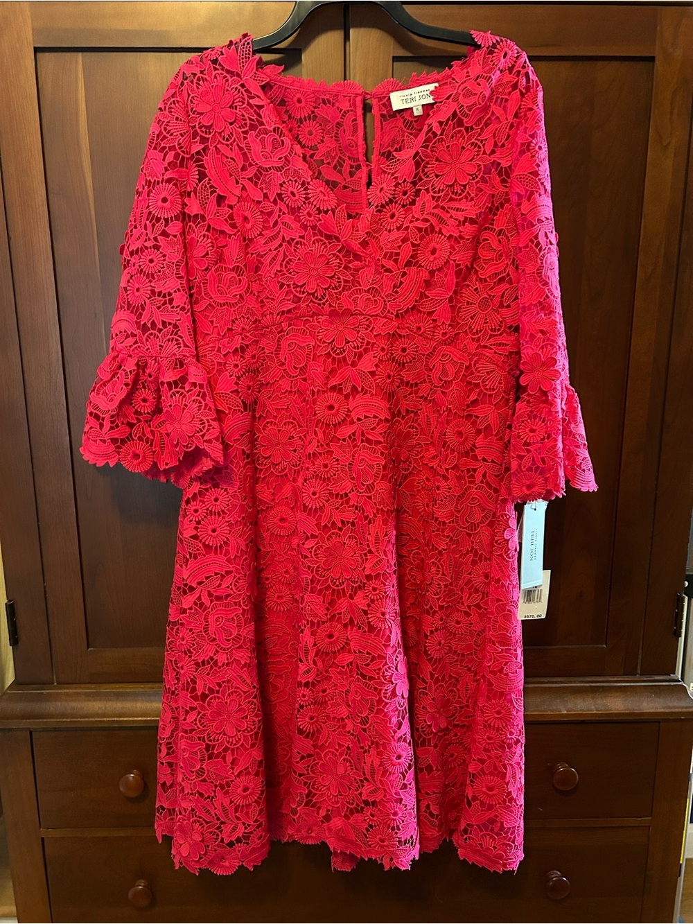 Teri Jon Hot Pink Lace Dress with Floral Texture NWT